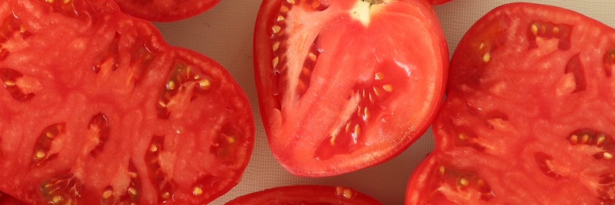 Rijder Seeds